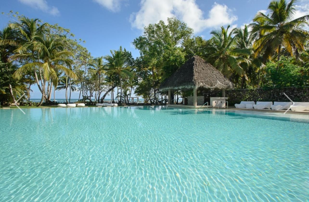 Piscina del complejo rodeada de palmeras